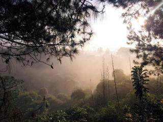 Ruth's Bed & Breakfast - Lembang - 8
