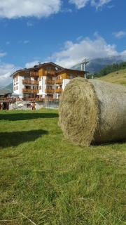 Albergo Bucaneve - Campodolcino - 9