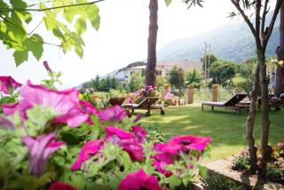 Hotel Sant'Andrea - Marciana - 2