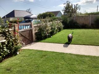 Dawn - Hemsby - 6