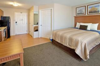 Candlewood Suites Yuma by IHG - Yuma - 9