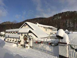 Penzion OK - Svoboda nad Úpou - 5