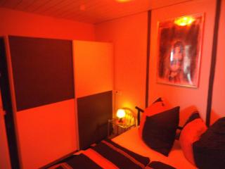 Exclusiv-Mietapartment (BDSM)-Heidelberg - Heidelberg - 5