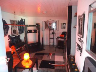 Exclusiv-Mietapartment (BDSM)-Heidelberg - Heidelberg - 8