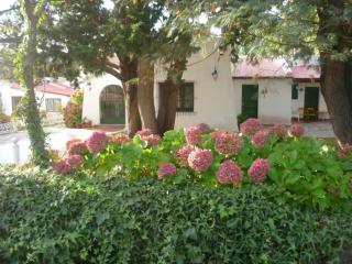 Hosteria Magdalena - Cortaderas - 8