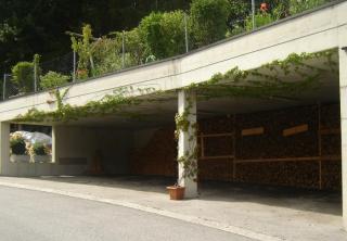 Ferienwohnung Kainer Carina - Ried im Zillertal - 6