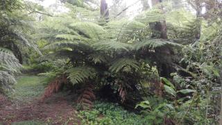 Purple Hen Country Lodge - 1