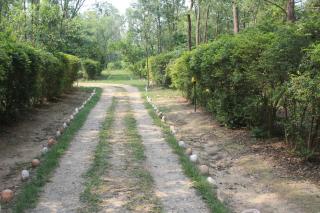 Shuklaphanta Jungle Cottage - 1