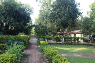 Shuklaphanta Jungle Cottage - 3