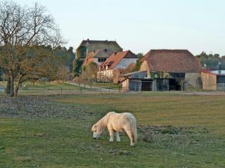Elgersheimer Hof - Volkach - 0