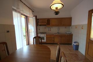 Vito - Novigrad - 5
