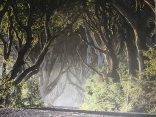 Dark Hedges Cottage - Ballycastle - 4