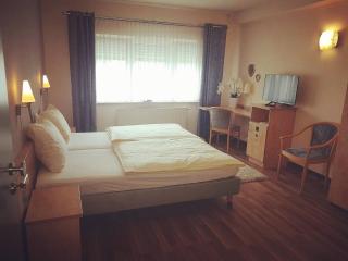 Hotel Ring Park - Buchen - 5