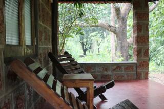 Dudhsagar Plantation - 3