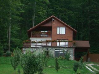 Villa Mara - Sinaia - 0