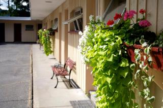 Sunset Motor Inn - 3