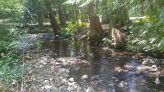 Scott Creek Farm - 4