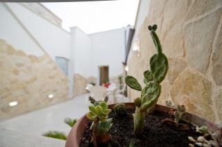Casa Bova - Mesagne - 3