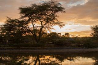 Ziwa Bush Lodge - Nakuru - 8