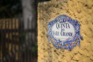 Quinta do Vale Grande - Albergaria-a-Velha - 3