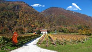 Agritur La Polentera - Storo - 8