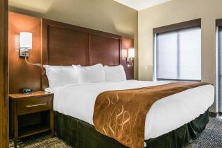 Comfort Suites Florence - Cincinnati South - Florence - 4
