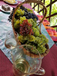 Wine & Nature & Tour - Zgornji Leskovec - 9
