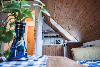 Penzion u Lupíků - Frýdlant nad Ostravicí - 1