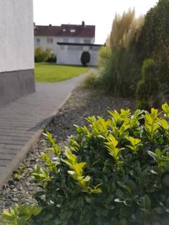Pension Harleshausen - Kassel - 5
