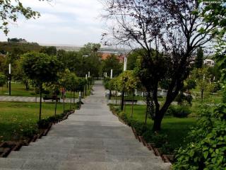 casa lux central - 7