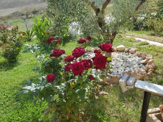 Agriturismo La Stradaccia - Ginestreto - 1