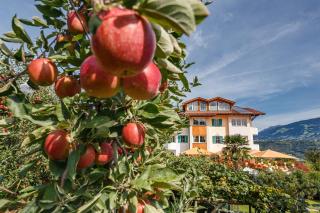 Landhaus Hotel Kristall - 1