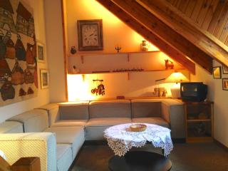 Duplex Con Encanto En Vielha - Vielha - 0