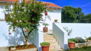 House Soni - 800 m from the sea - Rovinj - 7