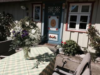Haus am Hafen - Luxus unter Reet, Garten mit Terrasse - Prerow - 9