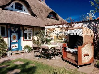 Haus am Hafen - Luxus unter Reet, Garten mit Terrasse - Prerow - 4
