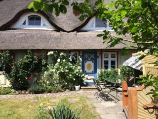 Haus am Hafen - Luxus unter Reet, Garten mit Terrasse - Prerow - 6