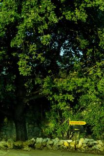 Le Cascatelle - Cerveteri - 5
