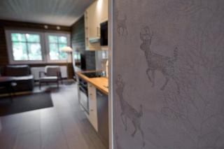 Soukolo Apartments - Äkäslompolo - 5