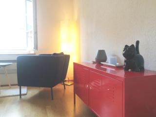 In Swiss Home - Rathaus from 1284 historical Apartment - Basilea - 5