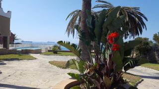 Estrena loft en el mejor sitio de Tarragona - 7