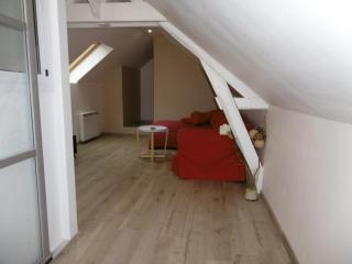 Le petit domaine des Aubuis - 3