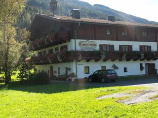 Bauernhof Grieslehen - Leogang - 0