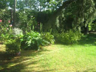 La Villa di Lucia - Viterbo - 8