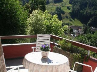 Haus Sonnenhang - Todtnau - 6