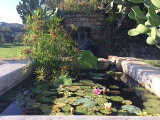 La Casa di Ester nel Cilento - 2