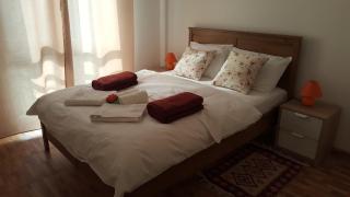 Iri's Downtown Apartment no. 1 - Ploieşti - 9