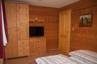 Chalet an der Traun - 1