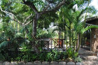 African Dreamz Guest House - St Lucia - 6