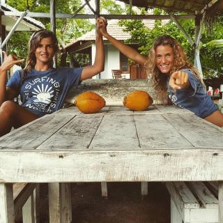 Surfing Wombats - Weligama - 0